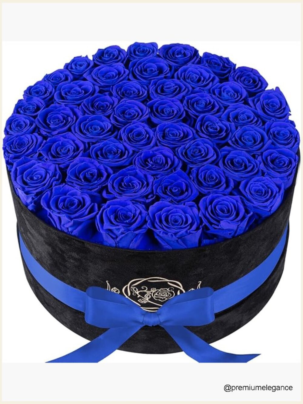 47 Preserved Roses in Velvet Box, Long-Lasting Floral Gift, Anniversary